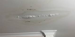 Balkon Su Akıtıyor Ne Yapmalıyım?